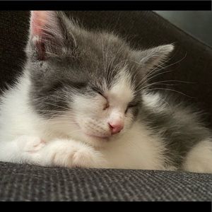 Meet your Posher, Gabby